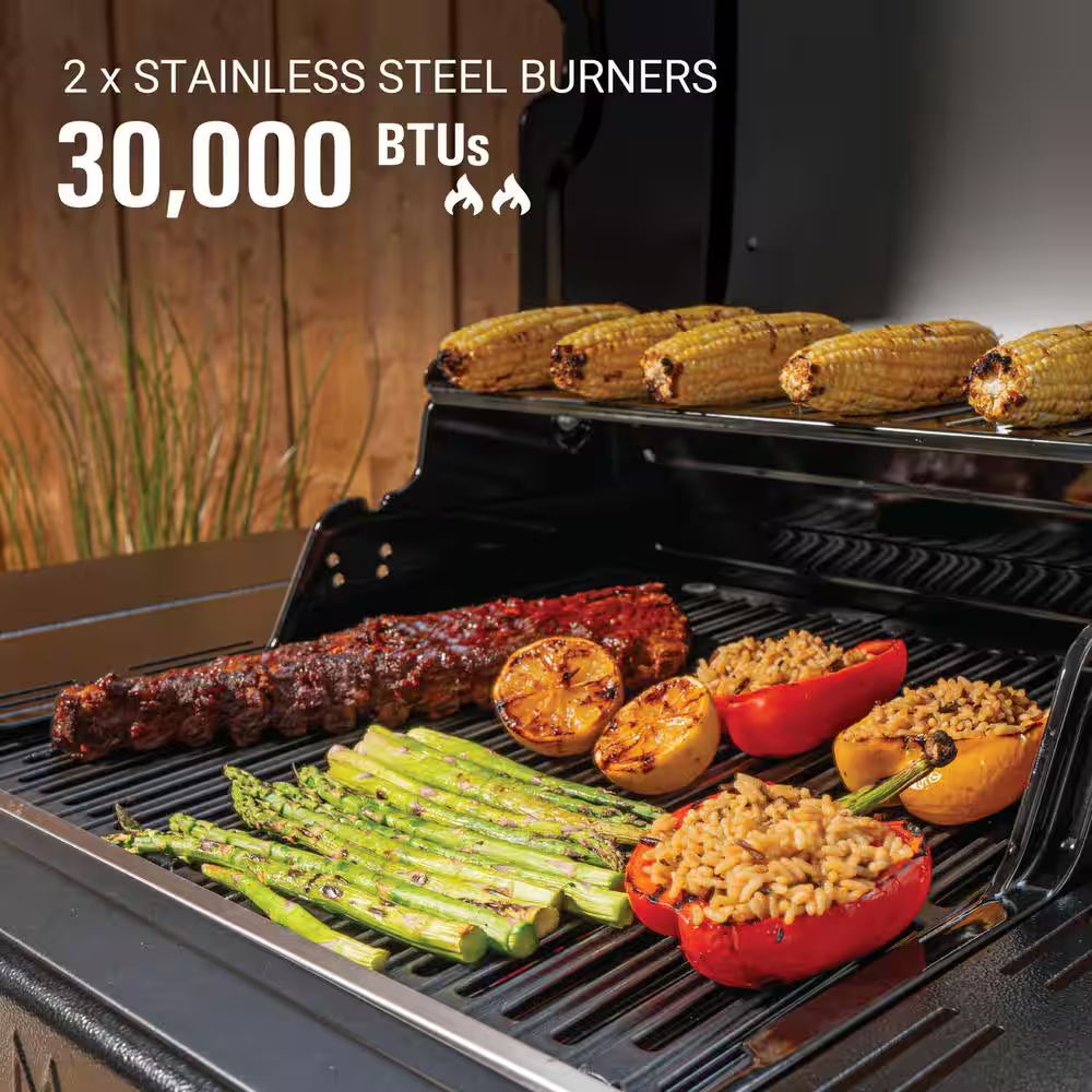 Revolution 2-Burner Gas BBQ Grill in Black with 440 Sq. In. Total Cooking Surface, 2-Side Shelves, Flare-Free Grates